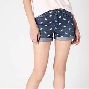 Anthropologie Pilcro & The Letterpress Ikat Print Shorts